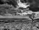 Фотография Шаповаловой Анастасии