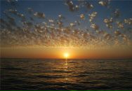 Фотография Александровича Виктора