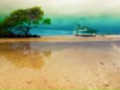 Фотография Minakhmetova Dina