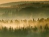 Інна Константінова фотография #5 (источник - https://vk.com/id102207750)