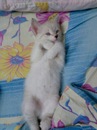 Tale Quale фотография #1