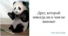  фотография #50