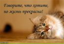 Алла Скрипнік фотография #46 (источник - https://vk.com/id154645028)