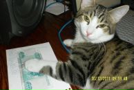 Фотография Цепелевой Веры