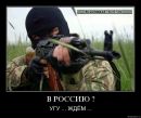 Фотография Гаврилова Александра