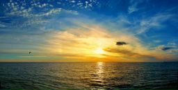 Фотография Боднюк Анны