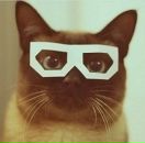 Фотография Нечаева Сергея