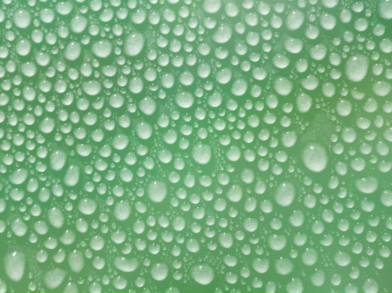 Дмитрий Тишко фотография #22