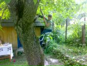 Володимир Матвіїв фотография #32 (источник - https://vk.com/id32324528)