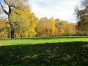 Михаил Плотников фотография #49 (источник - https://vk.com/id3545334)