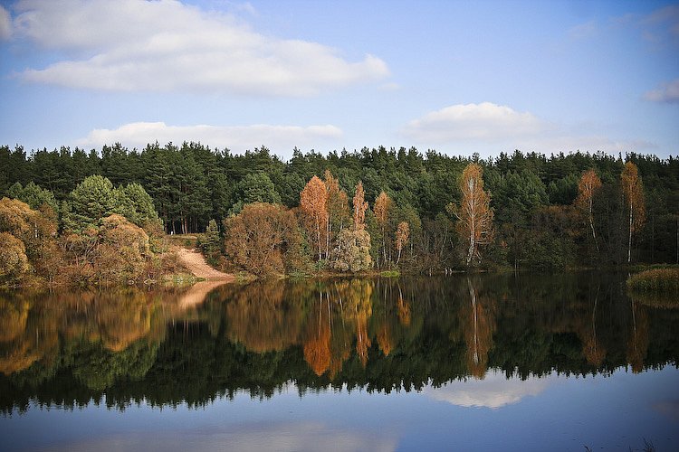Павел Гращенко фотография #36