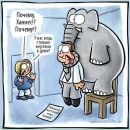 Фотография Крылова Константина