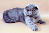 Фотография Маничевой-Смолко Яны