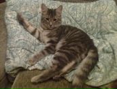 Фотография Васильевой Екатерины