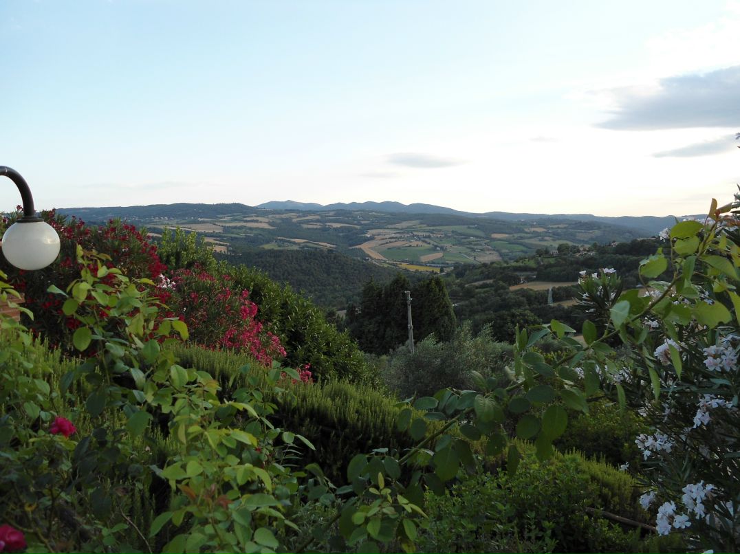 Dmitry Davidenko фотография #31