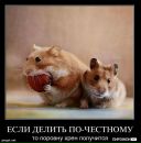 Міша Луцик фотография #49 (источник - https://vk.com/id86985606)