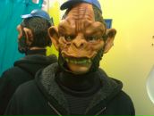 Фотография  