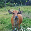 Фотография Марченко Жанна