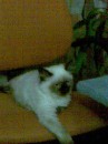 Діма Муран фотография #39 (источник - https://vk.com/id68521006)