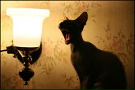 Фотография Садыковой Раисы