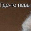 Максим Огороднік фотография #15 (источник - https://vk.com/id145332792)