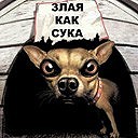 Фотография Бехтгольд Екатерины