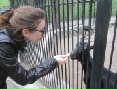 Фотография Шуклиной Маргариты