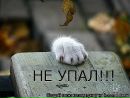 Фотография Толубеевой Светланы