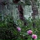 Анна Петрова фотография #40 (источник - https://vk.com/id45188780)