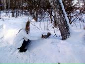 Фотография Коваленко Екатерины