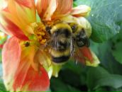 Фотография Беккер Оксаны