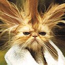 Віталіна Щербик фотография #13 (источник - https://vk.com/id169198695)