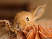 Фотография Поповой Елены