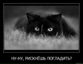 Фотография Чекалиной Ангелины