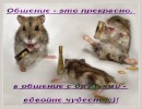 Ваня Олійник фотография #44 (источник - https://vk.com/id132048922)