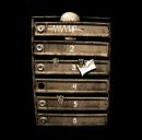 Фотография Куст Кости