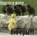 Роман Нанівський фотография #11 (источник - https://vk.com/id141081751)