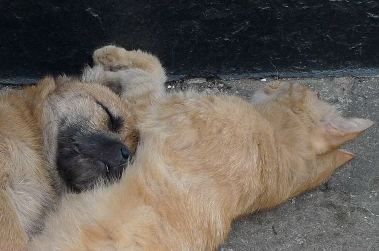 Иван Линник фотография #33