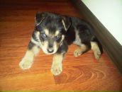 Фотография Растольцева Сергея