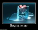 Міша Федорняк фотография #7 (источник - https://vk.com/id24695832)