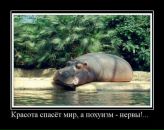 Фотография Сергеева Максима