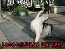 Фотография Шадрина Ольга