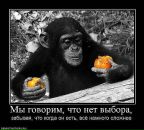 Олексій Фарина фотография #44 (источник - https://vk.com/id57227092)