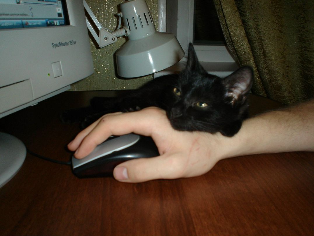Дмитрий Котлов фотография #8