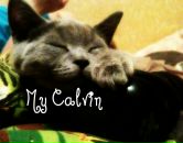 Фотография Морозова Владислава