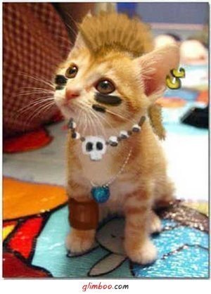 №15, Ангелина Ярославцева №15, Ангелина Ярославцева