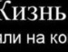  фотография #4