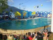 Дарія Василевська фотография #44 (источник - https://vk.com/id10233208)