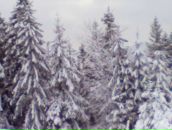 Славік Осташук фотография #20 (источник - https://vk.com/id22375558)