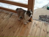 Виктор Андросов фотография #9 (источник - https://vk.com/id1914610)